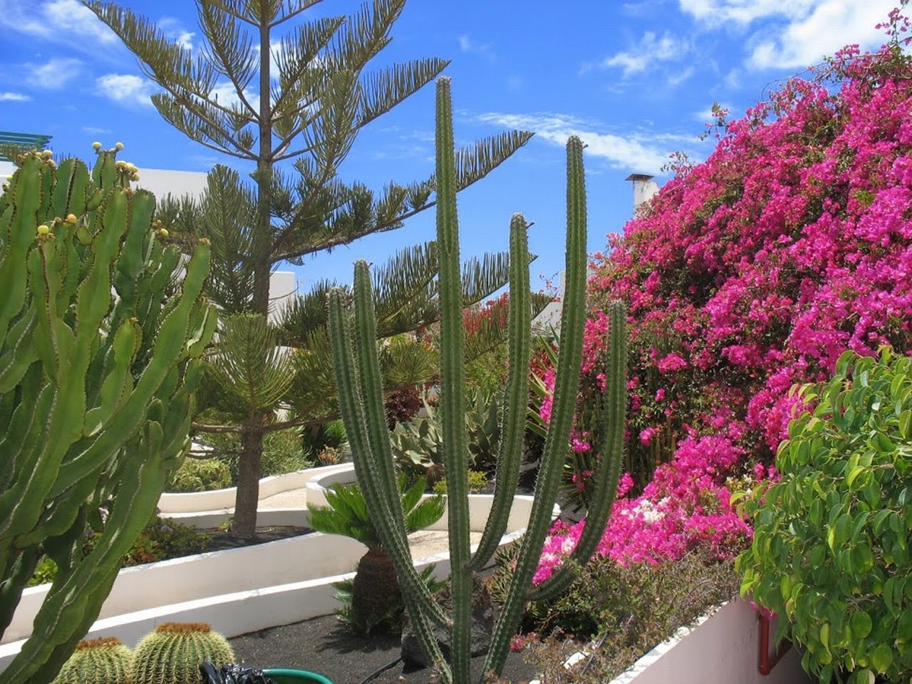 Apartamentos El Guarapo Costa Teguise Ngoại thất bức ảnh